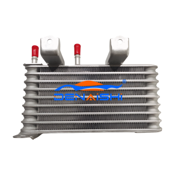 Toyota Higlander uchun radiator 20-21